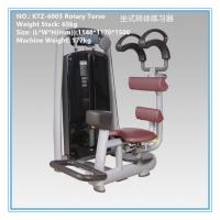 Buy cheap Pin Loaded Aerobic Exercise Equipment Torso Rotation Machine For Bodybuilding from wholesalers