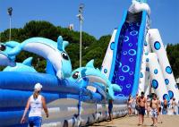 China Summer Inflatable Giant Backyard Elephant Water Slide For Kids Adults factory