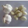 China Orgnic dehydrated garlic slices2.2-2.60MM , pure natural 2017 new products with very  good quality factory
