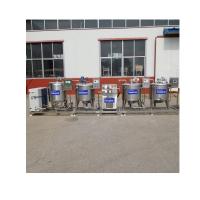 China white cheese making dairy equipment production line factory
