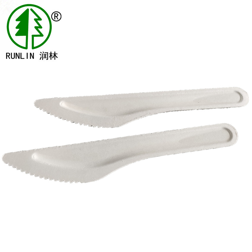 China 6.5in Takeaway Knife Disposable Kitchen Utensils Sugarcane Bagasse Disposable Butter Knife factory