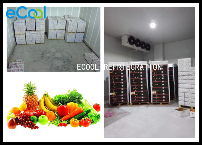China Large Cold Storage Of Fruits And Vegetables With Refrigeration Cold Room Panels factory