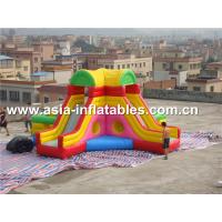 China Home Use Inflatable Slide And Bouncer Combo For Children' S Party Games factory