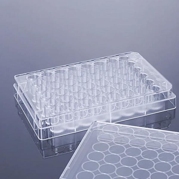 Quality Cell Culture Plates With Treated Culture Surface And Plates 6 12 24 48 And 96 for sale