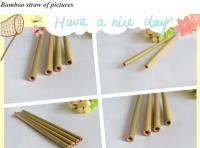 China Eco Friendly Factory Directly Sales Customized Logo Bamboo Straw With Brush 100 % Natural Bamboo Straw bagease bagpac factory
