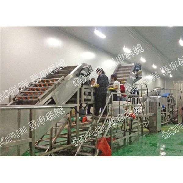 Quality Professional Pear Chips Apple Processing Line 440V Turnkey Project for sale