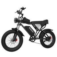 China 330lb load Off Road Fat Tire Electric Bike  Mountain Snow Electric Bicycle factory