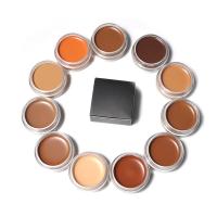 China 10 Colour Makeup Contour Palette Cream Concealer Kit Highlighter Contour Blush Palette factory