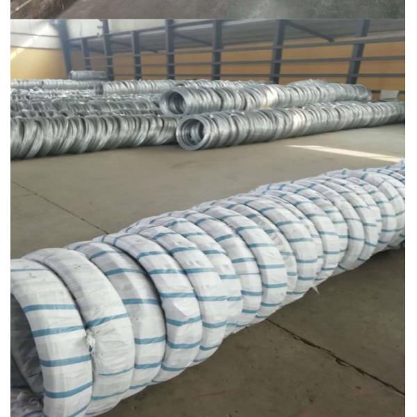 Quality Electrical Galvanized Iron Wire BWG 8 - BWG 24 9 Gauge for sale