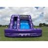China Funny Outdoor Inflatable Water Slide Custom Logo Strong Stucture CE Certification factory