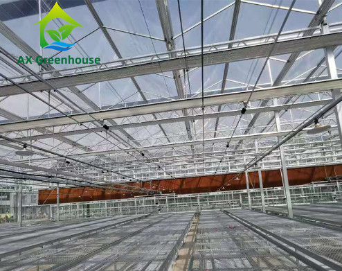 Quality Modern Tomato Farming High Tech Greenhouses Venlo Roof 9.6m 10.8m for sale