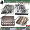 China Mould / Die / Mold / Tool of Egg Tray Machine Egg Tray Mold factory