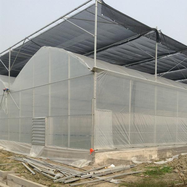Quality Agriculture Poly Tech Greenhouse Cultivation Or Breeding Easy To Construct for sale