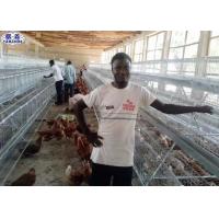 Quality Egg Layer Chicken Cage , Hens Poultry Metal Chicken Cage For Kenya for sale