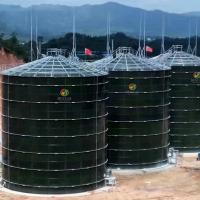 Quality Domestic Biogas Anaerobic Tank Wastewater Treatment Bio Gas Plant Project for sale