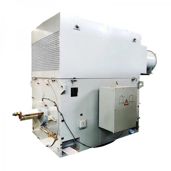 Quality 4000kw High Voltage AC Motor IP55 / IP54 Asynchronous Motor 3 Phase Induction for sale