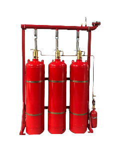 Quality Enclosed Flooding Fm200 Fire Suppression System DC 24V 1.6A for sale