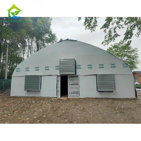 Quality Customized Cannabis Light Dep Solutions Electric Film Roller Blackout Greenhouse for sale