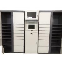 China Electronic Smart Parcel Delivery Lockers for University Online Shopping Delivery factory