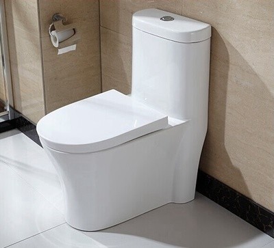 Quality 10 Inch Rough In One Piece Elongated Toilet Dual Flush Wall Mounted for sale