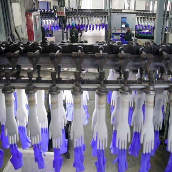 Quality CE Surgical Latex Gloves Production Line 20KW 380V for sale