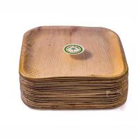 Quality Biodegradable Disposable 10 Inch Square Areca Palm Leaf Plates For Corporate for sale