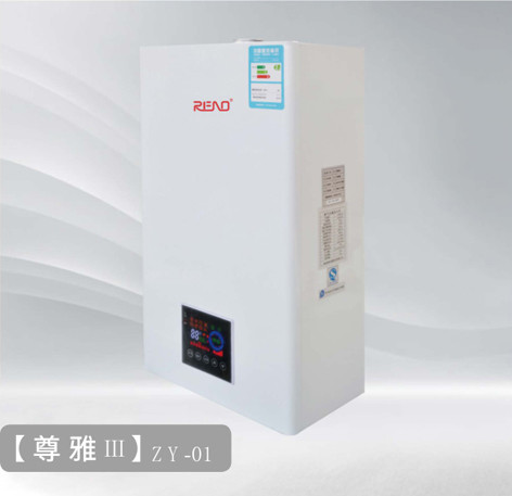 china Metal Wall Mount Gas Boiler 32kw NG LPG Electric Combination Boiler