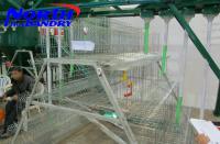China poultry farm galvanized chicken cage factory