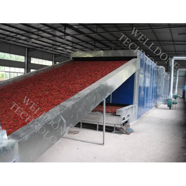 Quality DWF Series Conveyor Belt Dryer large capacity high efficiency for sale
