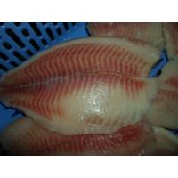 China Thailand Origin Fresh Frozen Seafood / Bulk Frozen Fish Tilapia Fillet factory