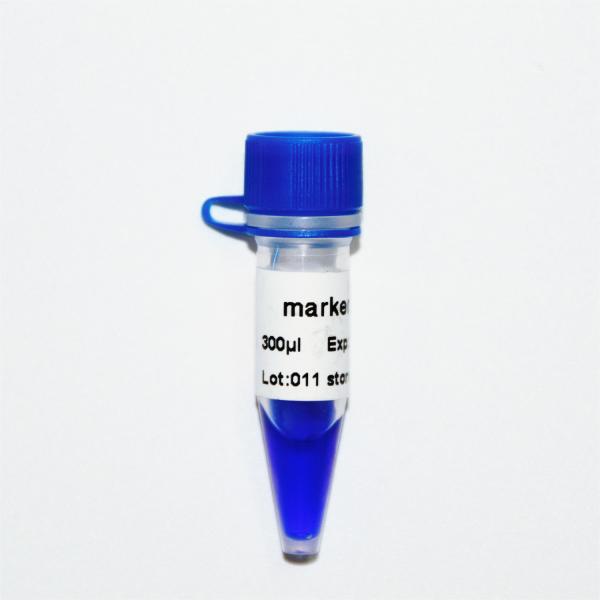 Quality Marker 11 DNA ladder M1131 (50μg)/M1132 (5×50μg) for sale