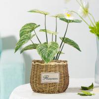 China Philodendron Birkin Decoration Artificial Bonsai Tree For Landscaping factory