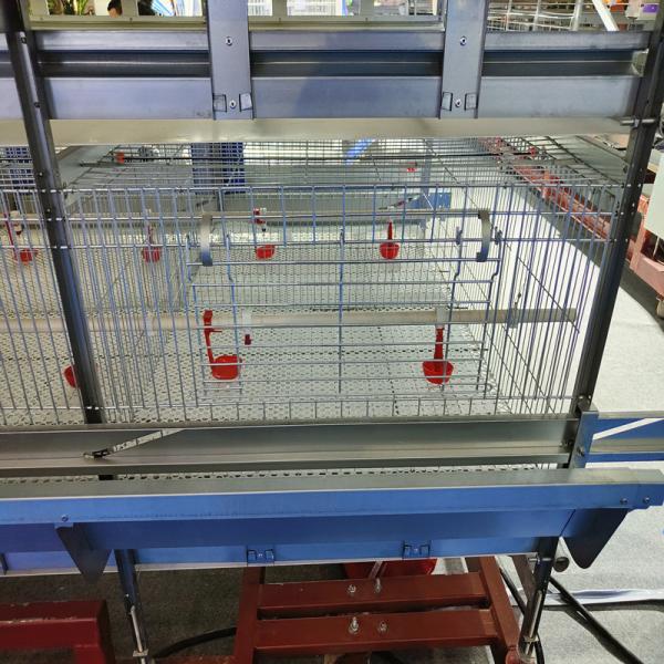Quality Hot Galvanizing Poultry Farm Cage , 3 / 4 Tiers Chicken Steel Cage For Layers for sale