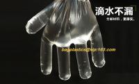 China biodegradable compostable disposable plastic pe food handlng gloves, pac,iDisposable Transparent HDPE PE Plastic Gloves factory