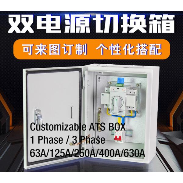 Quality Compact Single Phase Automatic Transfer Switch ATS Box Waterproof Wall - Mount 2 Pole 63A  400V for sale