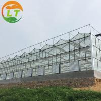 China Flower Vegetable Growing High Venlo Tempered Glass Greenhouse with Hydroponic System for sale