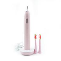 China Oral Hygiene Care Rechargeable Sonic Electric Toothbrush For Adult factory