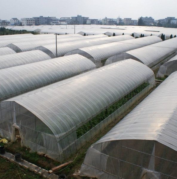 Quality Thickness 0.12mm-0.8mm Plastic Film Greenhouse For Strawberries for sale