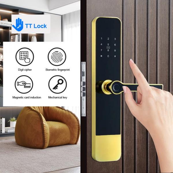 Quality Apartment Light Gold TTLock Digital Door Lock Biometric Intelligent Smart Door Lock for sale