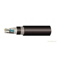 China Type TC-ER Cable Wirh Aluminum Conductor , XLPE Insulated Power Cable for sale