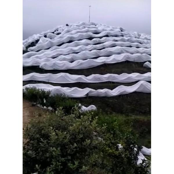 Quality 100% PP Nonwoven White Extra Width Non Woven Landscape Fabric Biodegradable For for sale