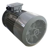 Quality Brushless AC Three Phase Induction Motor 15KW 20HP 380V 400V 3000RPM Y2-160L-4 for sale