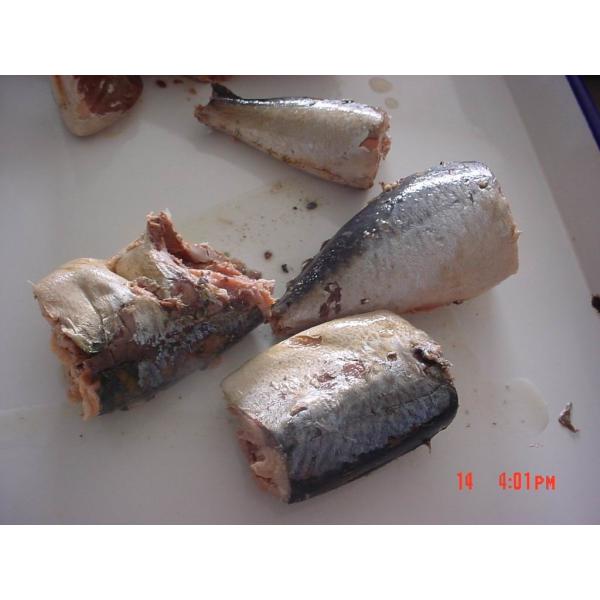 Quality Canned Mackerel In Brine , Jack Mackerel Canned in Tomato Sauce No Artificial Additives for sale