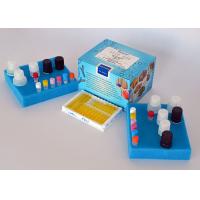 Quality High Accurate Beta-Lactam ELISA Testing Kit , 96 Test Food Safety Testing Kits for sale