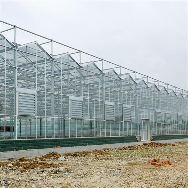 Quality Multispan Metal Frame Venlo Glass Greenhouse With High Durability for sale