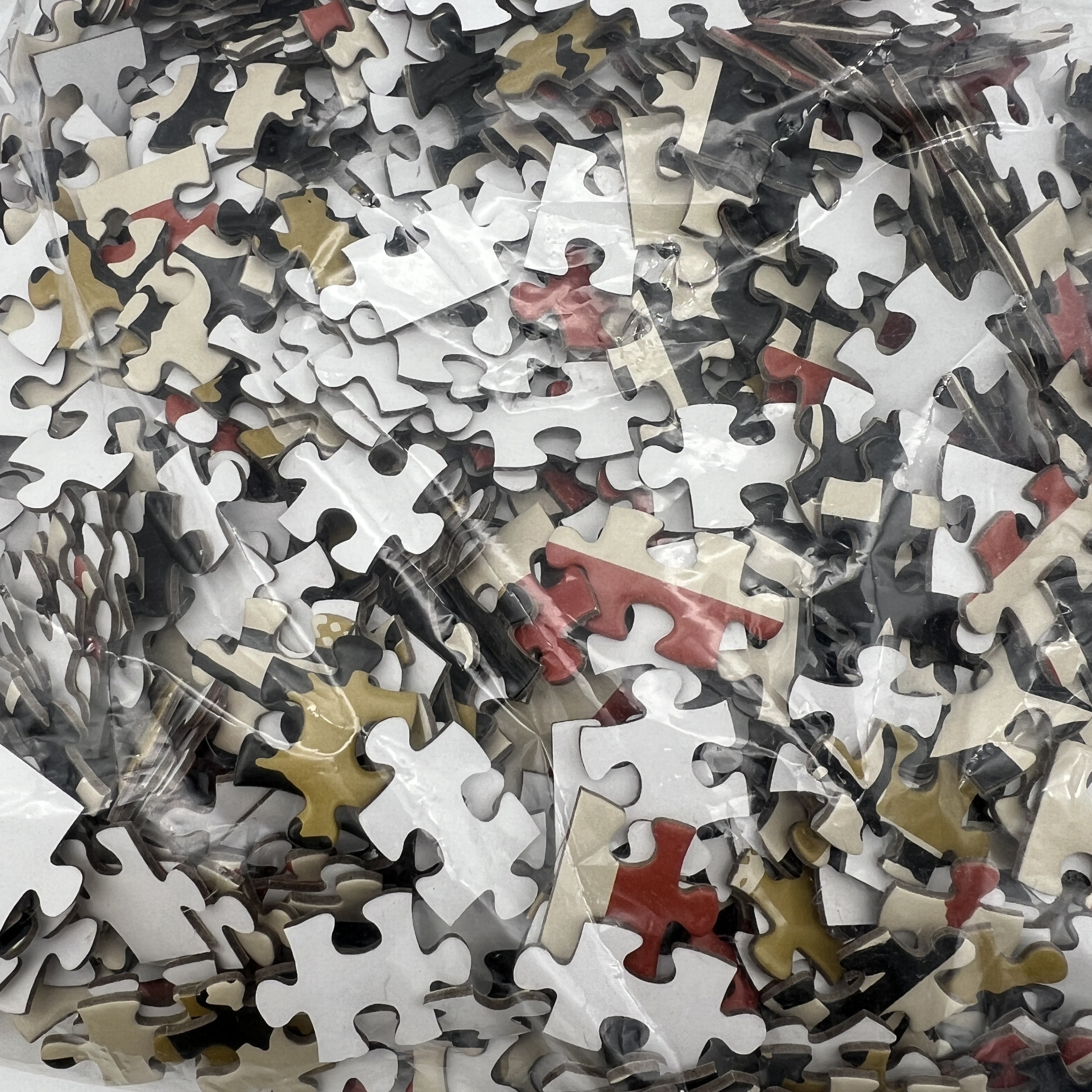China Customized Silk Screen 500 Piece Jigsaw Puzzles CMYK Printed factory