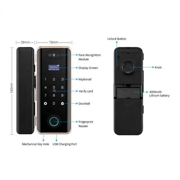 Quality Office Tuya App Door Lock Wireless Biometric High Security Password Glass Door for sale