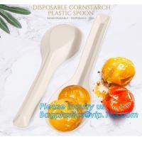 China 6 inch Tea/Soup/ice cream/tasting spoons Eco-friendly tableware corn starch spoons Disposable yogurt spoons bagease pack factory