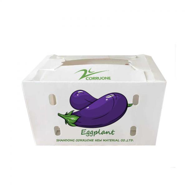 Quality Custom-Designed Fruit Corrugated Boxes for shipping for sale