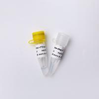 Quality 5× One Step Probe RT QPCR Master Mix Colourless Appearance for sale